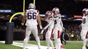 Dance Football GIF by New England Patriots