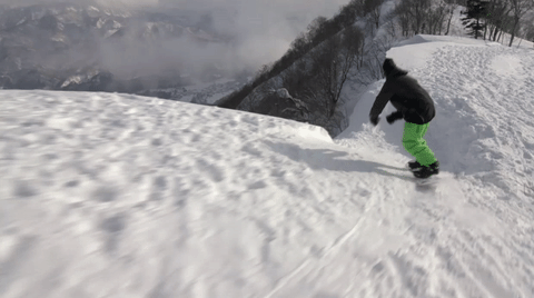 GIF by Red Bull