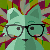 Mint Fox GIF by mintmobile