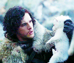 winter is coming GIF