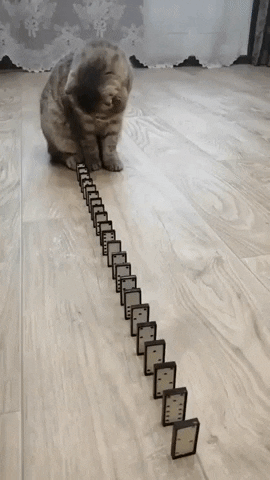 cuteanimalland giphyupload GIF