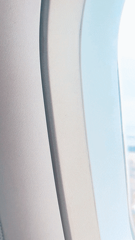 Travel Flying GIF