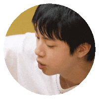 Jin 진 Sticker by Netflix Korea