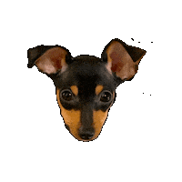 Dog Sticker