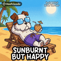 Happy Summer GIF by VeeFriends