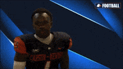 Cnfb GIF by Carson-Newman Athletics