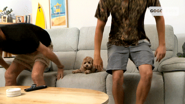 Watching Tv Leaving GIF by Gogglebox Australia