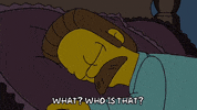 homer simpson GIF