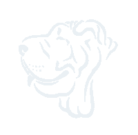 grupoteal grupoteal steveteal tealdog tealperro Sticker