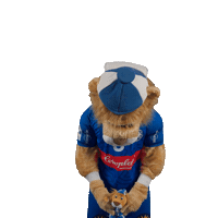 Handball Mascot Sticker by bergischerhc06