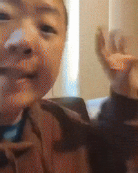Chicago Niche GIF