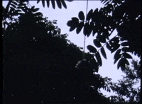 CraigRichardsCine celebration wedding kodak 8mm GIF