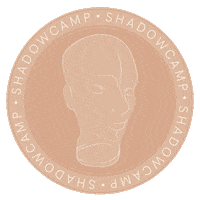 Money Coin Sticker by Shadowcamp