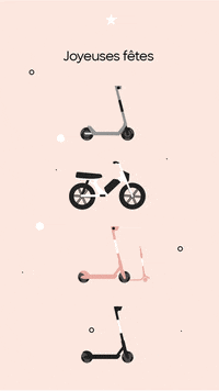 BirdRide  GIF