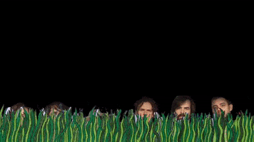 Tim Allen Bass GIF by Tristan Scroggins