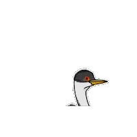 Bird Sticker by Parks Conservancy