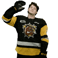 BrantfordBulldogs hockey bulldogs ohl brantford Sticker