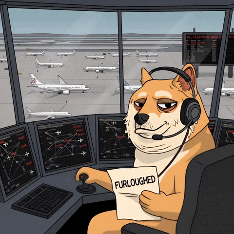Shiba Inu Chaos GIF by Doge Pound
