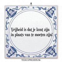 Humor Nl GIF by Tegelspreuken.nl