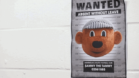 officialdafc giphyupload mascot poster missing GIF