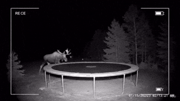 Ai Jumping GIF by Respective