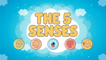 5 Senses GIF