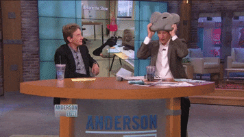 Anderson Live GIF by ostrichpillow