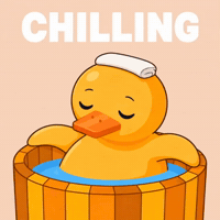 duel_duck duck duel duckie duelduck GIF