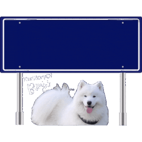 Benji Brabant Sticker