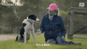 Border Collie Dogs GIF by ABC TV + IVIEW
