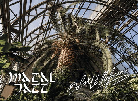 August GIF by Russian Music Seasons