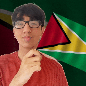 New Amsterdam Pride GIF