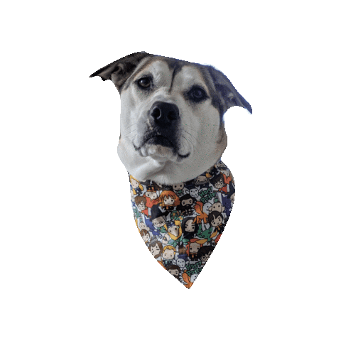 Harry Potter Katsu Sticker by Geekster Pets