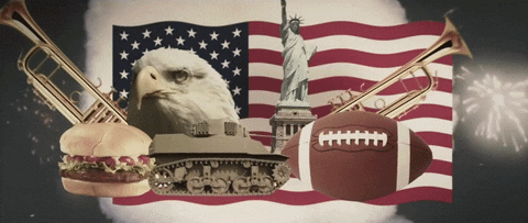 American Flag Usa GIF