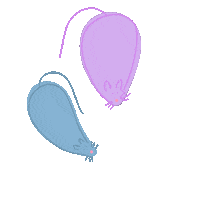 Pink Scurry Sticker by elzie