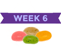 Pregnancy Baby Size Sticker by What to Expect