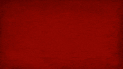 Yaz Veterans GIF