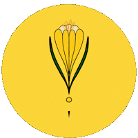 Kytka Vole Sticker