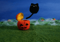 Stop Motion Cat GIF by Mochimochiland