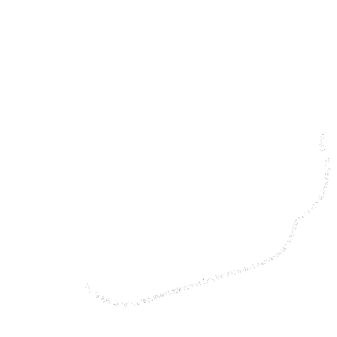 orlando no fear Sticker by Disney Parks