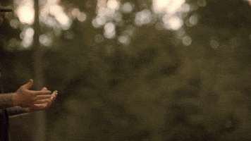 You Cant Do This GIF by Jon Langston