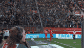 Fiete Arp Win GIF by Holstein Kiel