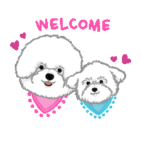Bichon Frise Kelsey Sticker
