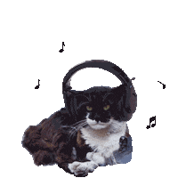 Cat Podcast Sticker by Junge Linke