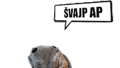 Swipe Up Sticker by Adolfeen