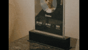 Happy Fun GIF by Believe India