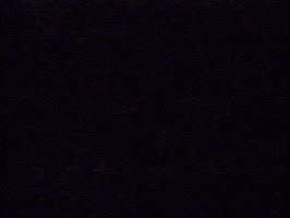 Youtube 90S GIF by Squirrel Monkey