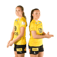 Toppserien Forza Birdsa Sticker by LSK Kvinner FK