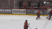 GIF by IFK_Helsinki