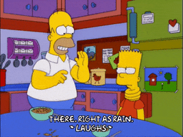 homer simpson GIF